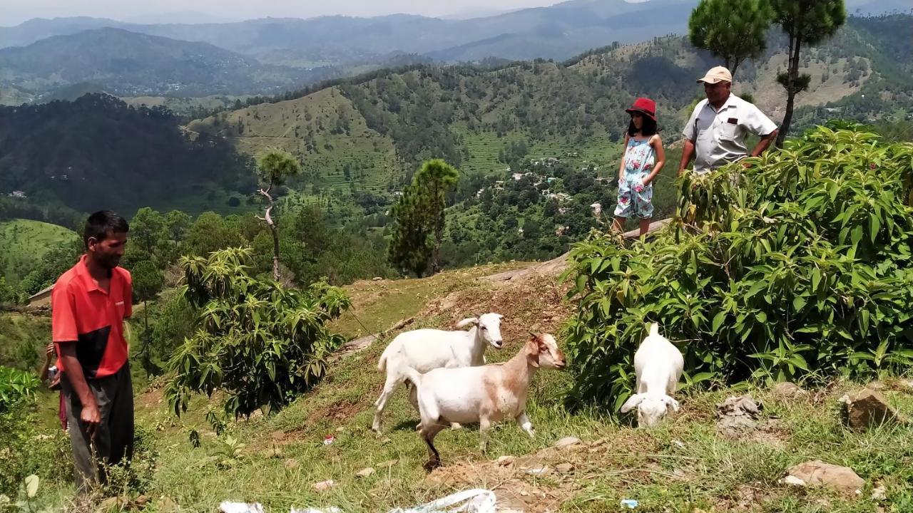 Dwarahat Village Farmstay- Babaji'S Cave Esterno foto