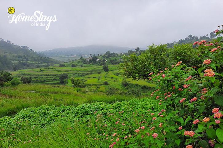 Dwarahat Village Farmstay- Babaji'S Cave Esterno foto