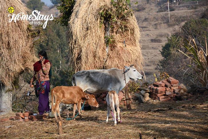Dwarahat Village Farmstay- Babaji'S Cave Esterno foto