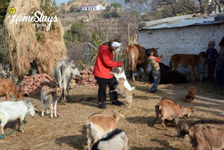Dwarahat Village Farmstay- Babaji'S Cave Esterno foto